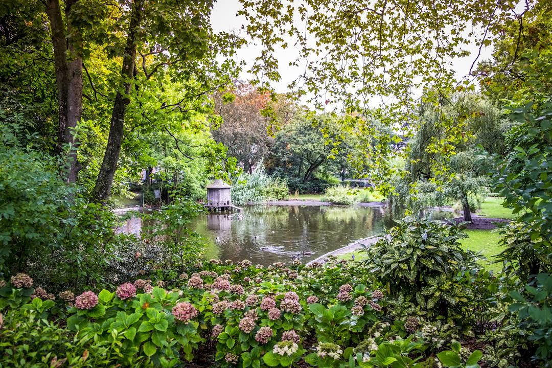 Botanical Garden